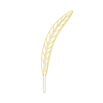 Feather