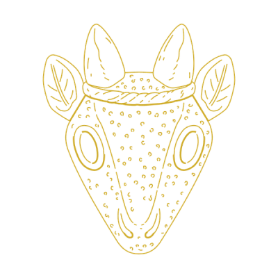 Antelope