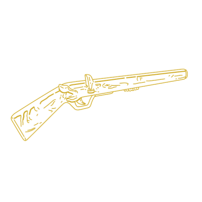 Gun