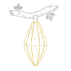 Iconography image